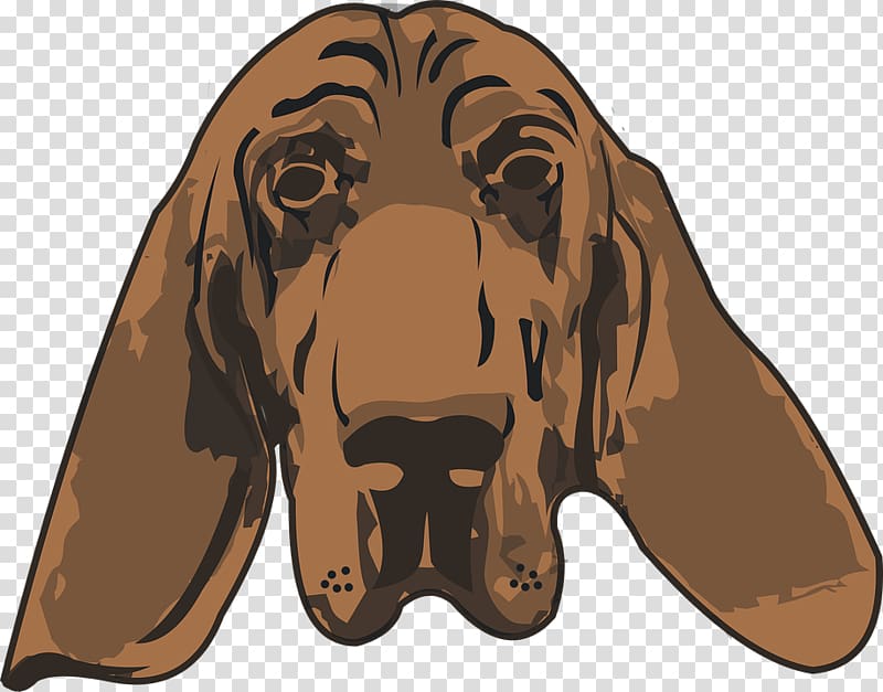 Bloodhound Harrier Puppy Illustration, Dog Avatar transparent background PNG clipart