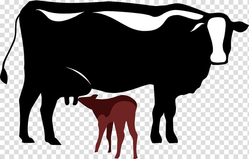Dairy cattle Calf graphics , cartoon cow transparent background PNG clipart