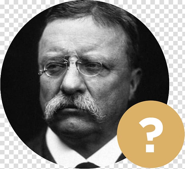Theodore Roosevelt on Leadership: Executive Lessons from the Bully Pulpit United States Thirteen Books A vote is like a rifle: its usefulness depends upon the character of the user., united states transparent background PNG clipart