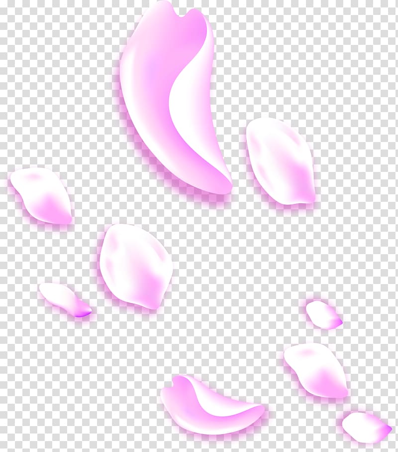 Petal Purple Lilac, Lilac petals falling transparent background PNG clipart