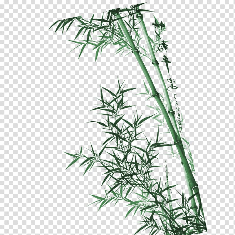 bamboo tree, Bamboo Wall House painter and decorator Mural , bamboo transparent background PNG clipart