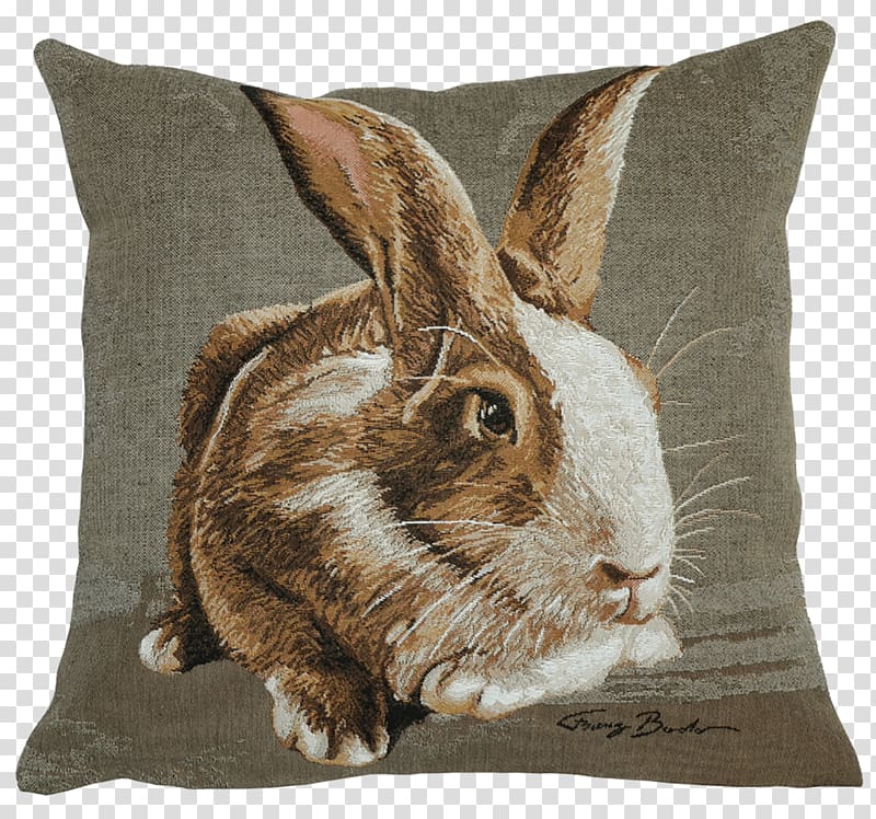 Cushion Domestic rabbit Throw Pillows Slipcover, pillow transparent background PNG clipart