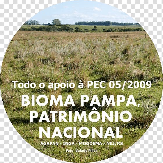 Crop Grassland, pampa transparent background PNG clipart