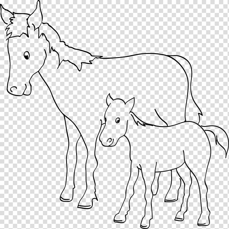 Mule Foal Horse Coloring book Pony, horse transparent background PNG clipart