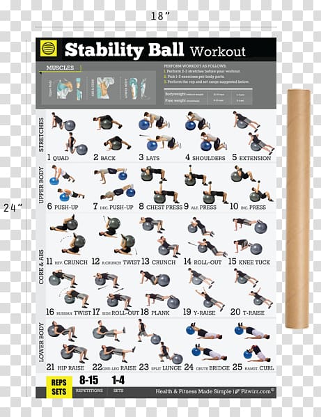 Dumbbell Bodyweight exercise Weight training Exercise equipment, Fitness Posters transparent background PNG clipart