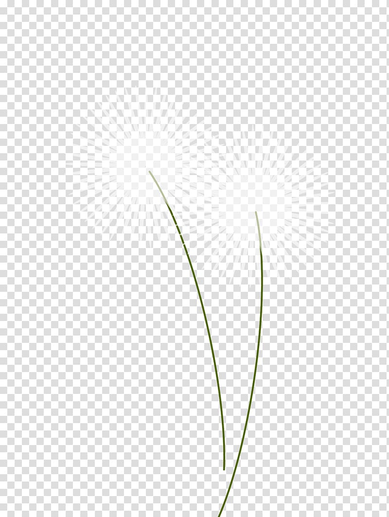 Angle Pattern, cartoon dandelion material transparent background PNG clipart