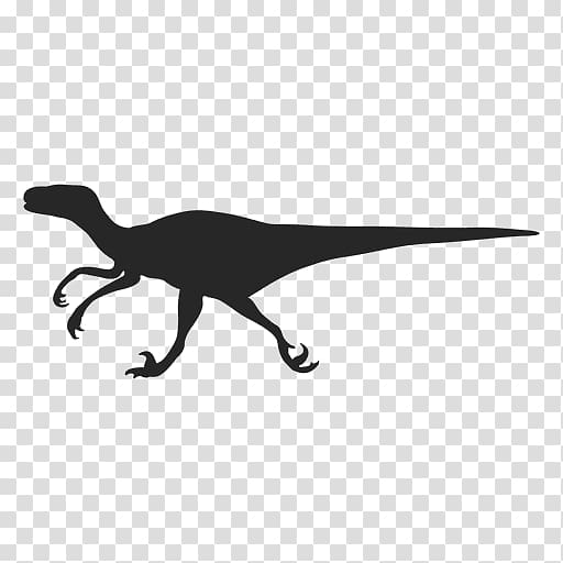 Velociraptor Dinosaur Deinonychus Troodon, dinosaur transparent background PNG clipart
