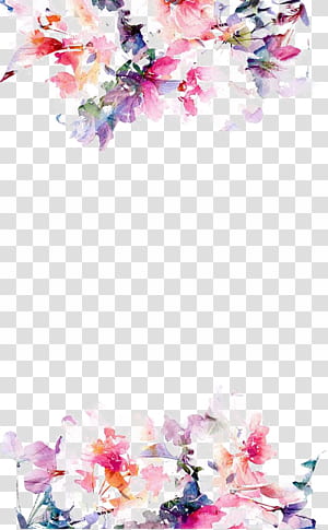 Flower power s, pink and white petaled flower transparent