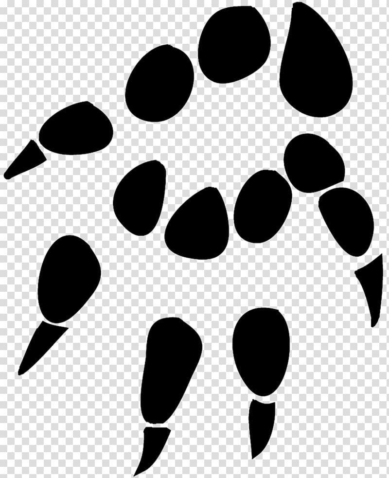 Cat Dog Paw Tiger , watercolor rabbit transparent background PNG clipart