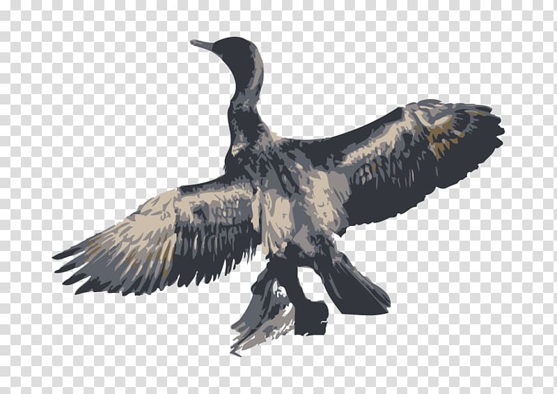 Bird Great cormorant, dead fish transparent background PNG clipart