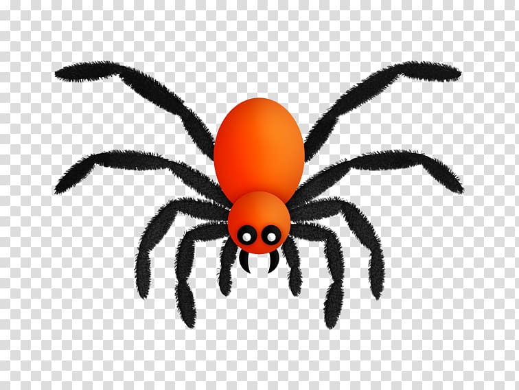 Spider, Cartoon spider transparent background PNG clipart