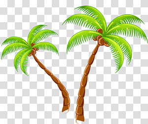 Tropical Islands Resort , Coconut tree transparent background PNG clipart thumbnail