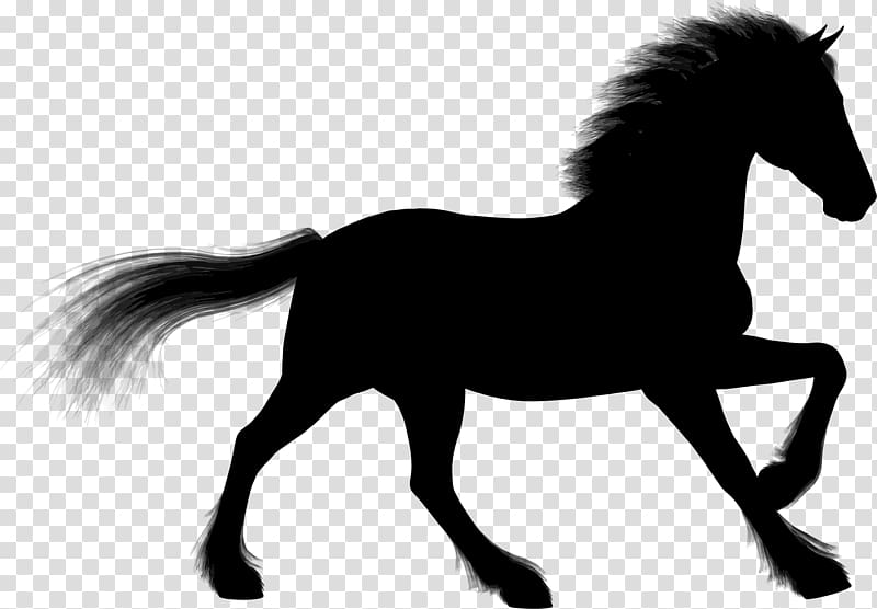 Stallion Arabian horse Foal Silhouette , Silhouette transparent background PNG clipart