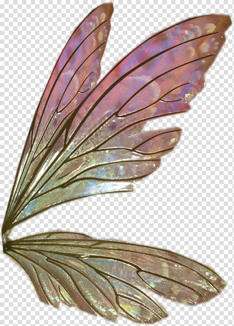 Wing Feather Sticker , butterflies float transparent background PNG clipart