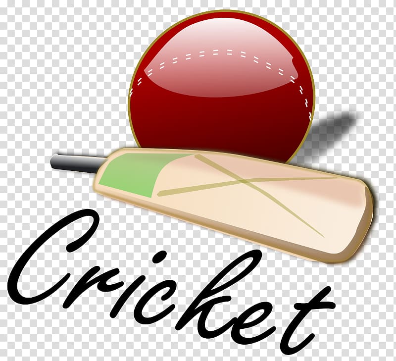 Cricket Umpire Cricket bat , Shooting Sports transparent background PNG clipart