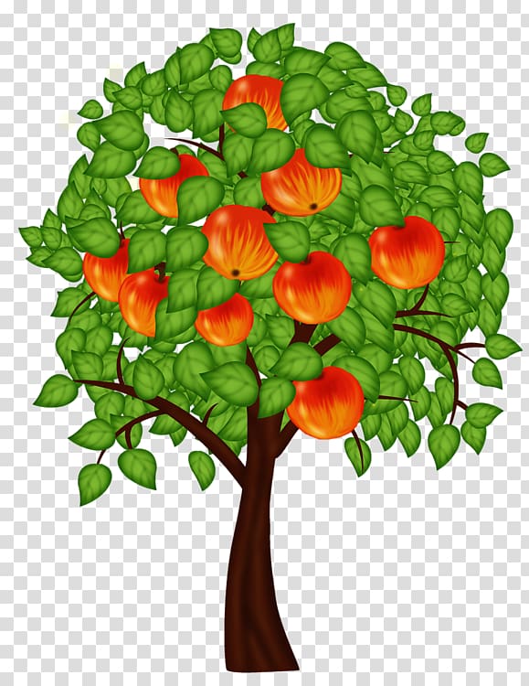 Tree Apples Fruit crops Ornamental plant, tree transparent background PNG clipart