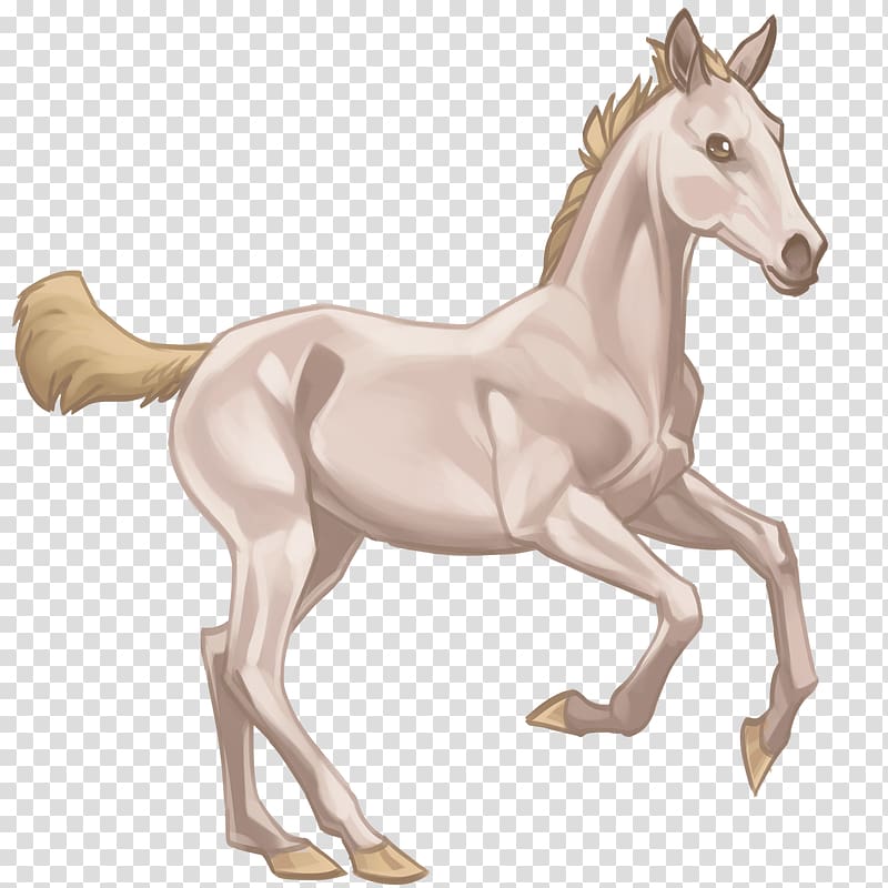 Foal Akhal-Teke Mare Colt Pony, mustang transparent background PNG clipart