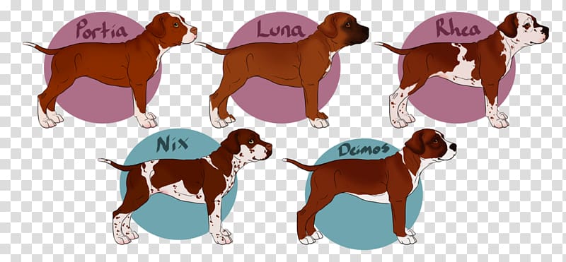 Dog breed Puppy , American Kennel Club transparent background PNG clipart