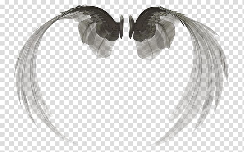 Feather Artist Beak, others transparent background PNG clipart