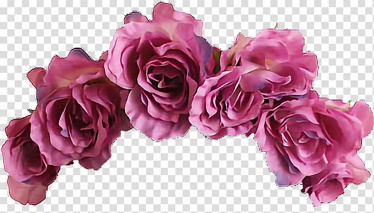 Pink roses, Wreath Flower Crown Headband, flower transparent background PNG  clipart