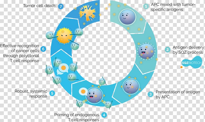 Antigen-presenting cell Cancer cell T cell, others transparent background PNG clipart
