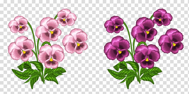 pink and purple pansies illustration, African violets , Pink Violets transparent background PNG clipart