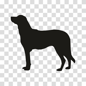 Australian Cattle Dog Transparent Background Png Cliparts Free