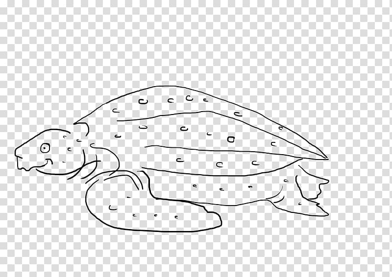Line art /m/02csf Marine mammal Drawing White, tortue transparent background PNG clipart