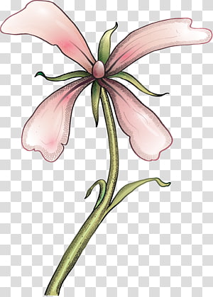 Cut flowers Floral design Petal , flower transparent background PNG clipart thumbnail