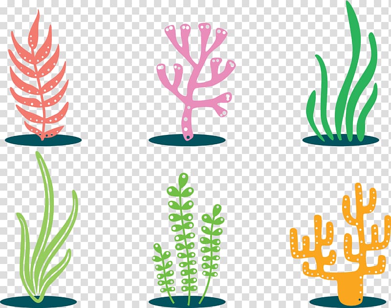 Coral , Colorful plants transparent background PNG clipart | HiClipart