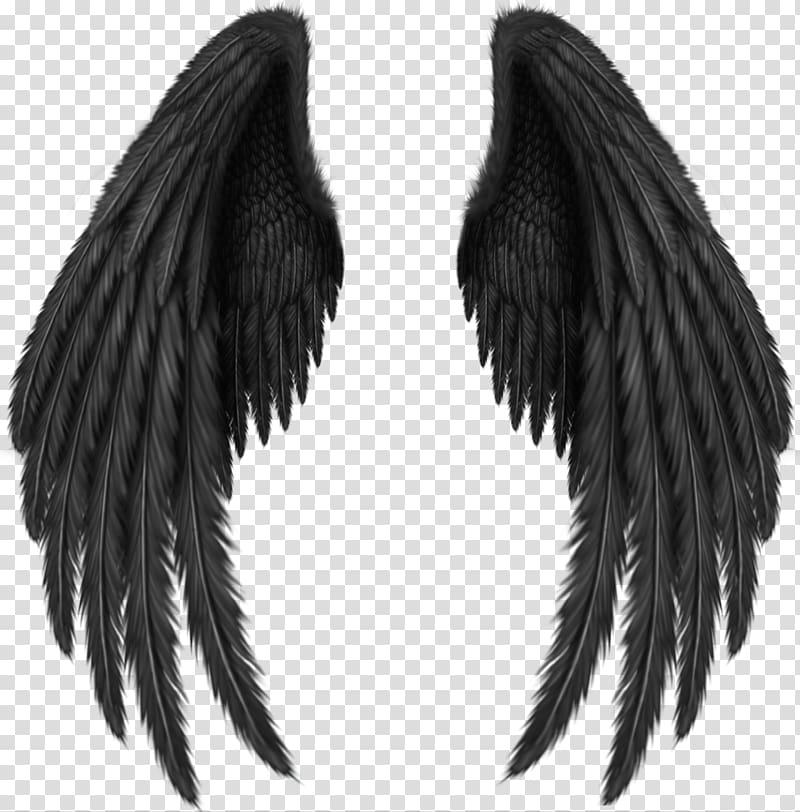 a pair of wings transparent background PNG clipart