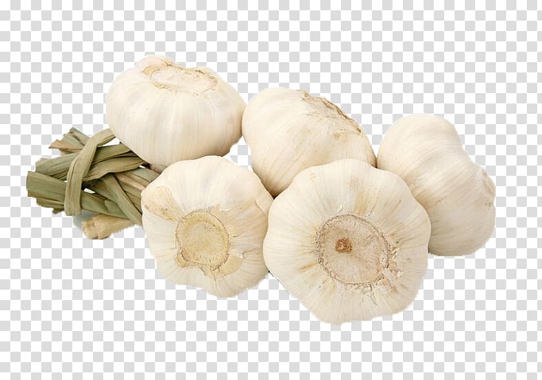 garlic cloves, Garlic Food Vegetable Aroma Fruit, garlic transparent background PNG clipart