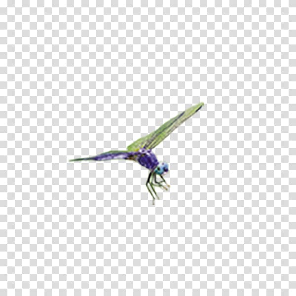 Purple Beak, dragonfly transparent background PNG clipart