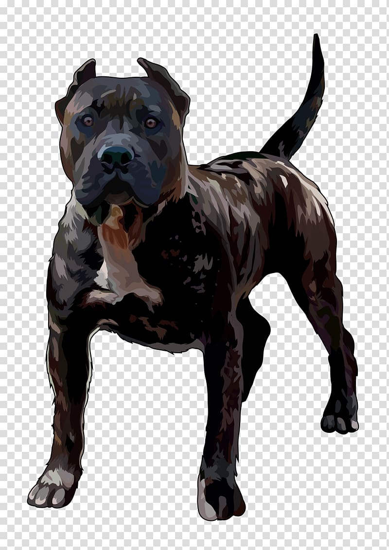 Presa Canario Dog breed American Pit Bull Terrier, canarias transparent background PNG clipart