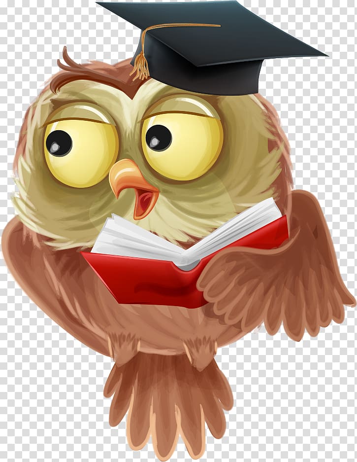 educated owl illustration, Owl , Owl cartoon transparent background PNG clipart