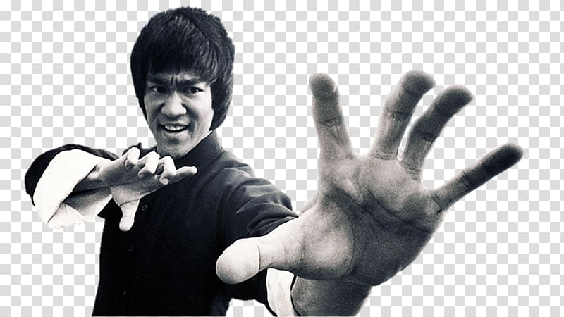 Tao of Jeet Kune Do Martial Arts Film, hulk hogan transparent background PNG clipart