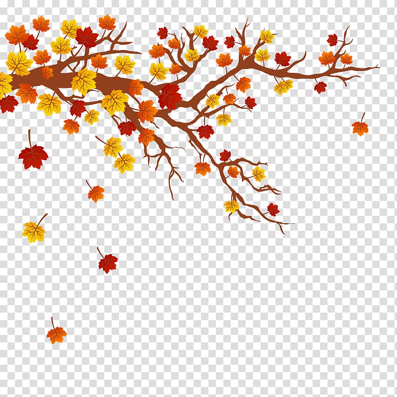 red, orange, and red leaf tree illustration, Autumn leaf color Tree Branch, autumn maple leaves transparent background PNG clipart