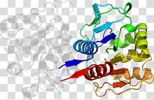 Organism , design transparent background PNG clipart thumbnail