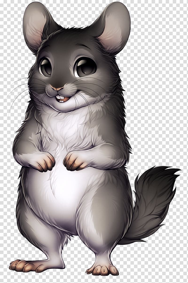Chinchilla Rodent Mouse Whiskers, chinchilla transparent background PNG clipart