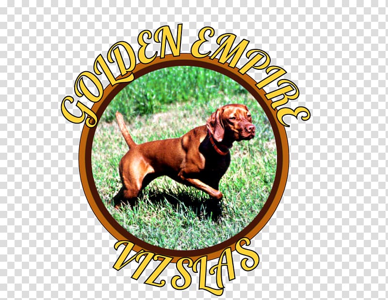 Dog breed Vizsla Logo, vizsla transparent background PNG clipart