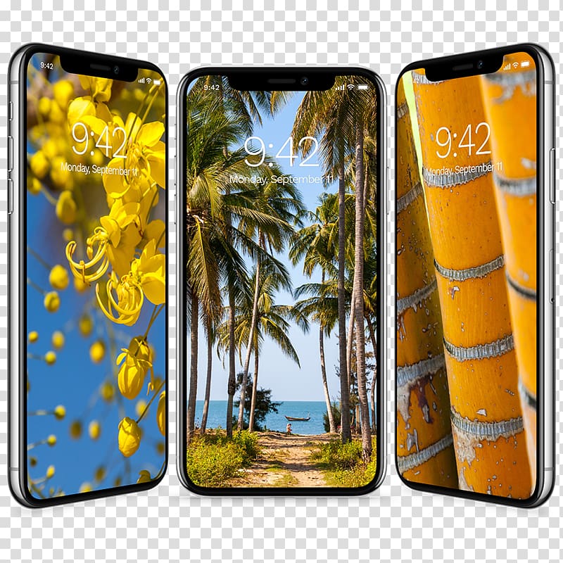 iPhone X IPhone 8 Desktop Text messaging Mobile Phone Accessories, Tropical transparent background PNG clipart