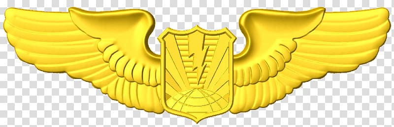 U.S. Air Force aeronautical rating United States Air Force United States Aviator Badge Wing, cnc army aviation wings transparent background PNG clipart