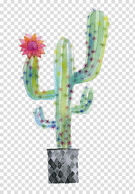 green and multicolored cacti illustration, Cactaceae Succulent plant Watercolor painting Paper, cactus transparent background PNG clipart