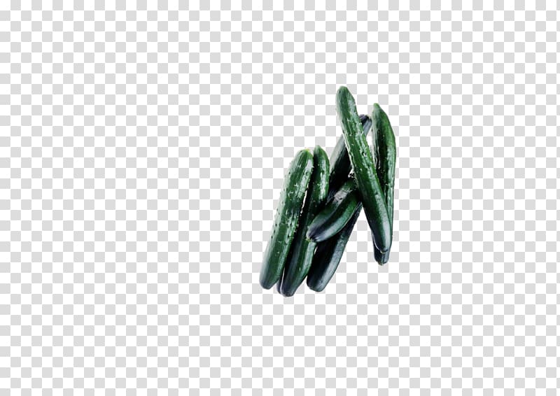 Green Vegetable , Green cucumber transparent background PNG clipart