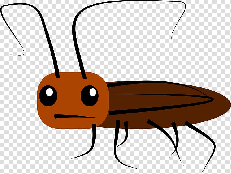 Cockroach Cartoon , cockroach transparent background PNG clipart