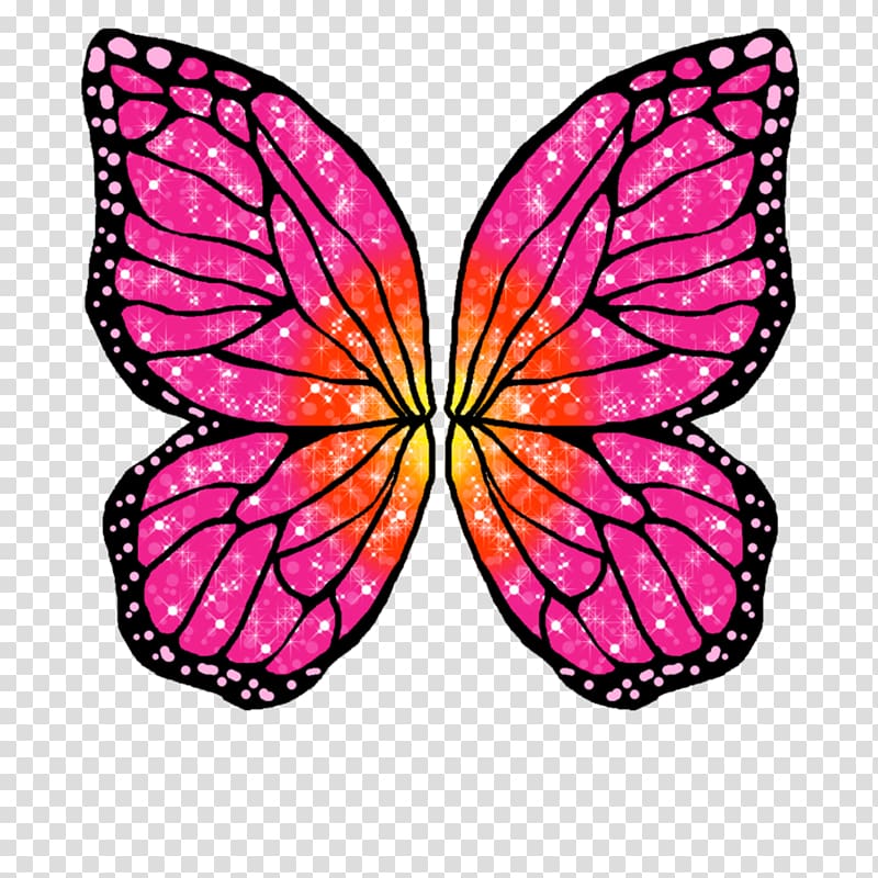 Butterfly Barbie Mariposa Rayla Drawing, watercolor butterfly transparent background PNG clipart