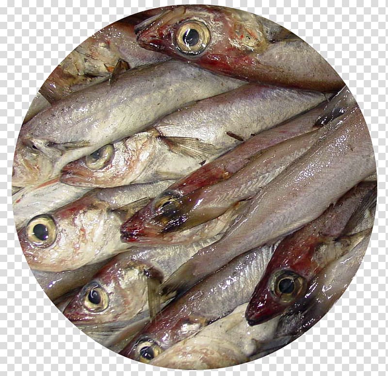Kipper Blue whiting Fish products Oily fish, fish transparent background PNG clipart