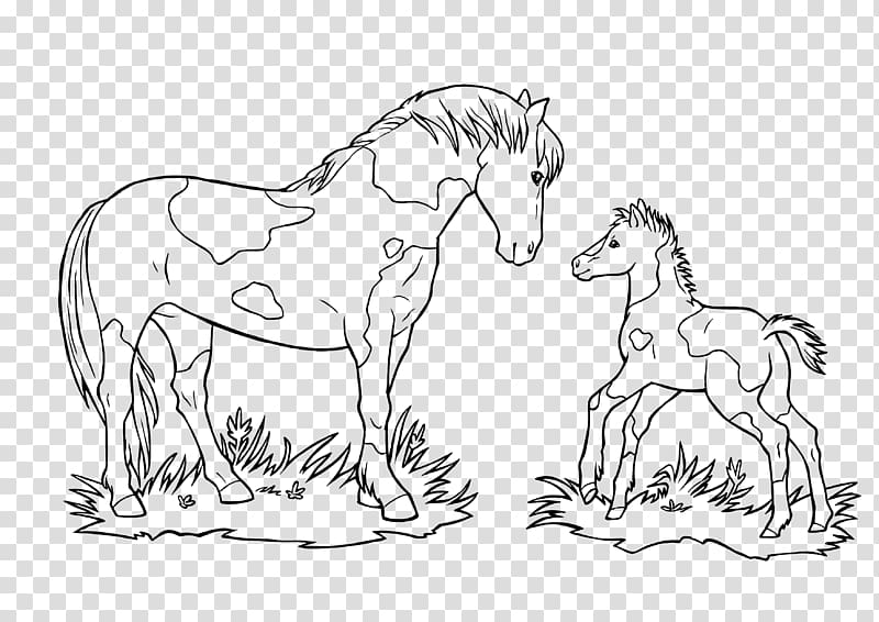 Mustang Foal Ausmalbild Pony Coloring book, mustang transparent background PNG clipart