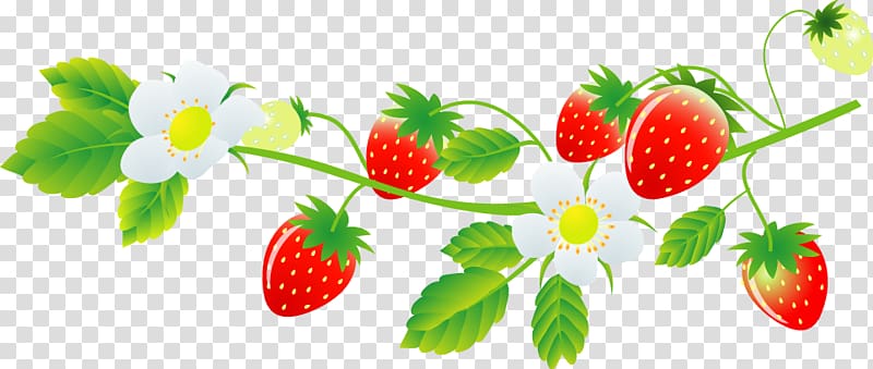 Strawberry Marimo farm Food Daifuku いちご大福, friuts and vegetable transparent background PNG clipart