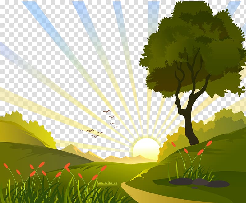 sunrise and tree illustration, Euclidean , Sunrise in the field illustration transparent background PNG clipart